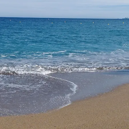 Rez De Jardin Marina Baie Des Anges Appartement *